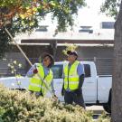 Two Grounds employees prune a tree