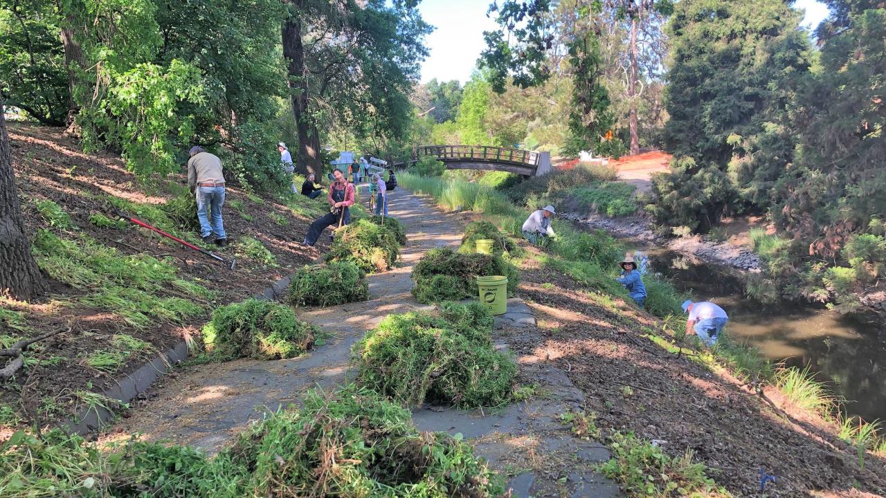 Several volunteers pose with clumps of weeds along the Arboretum waterway