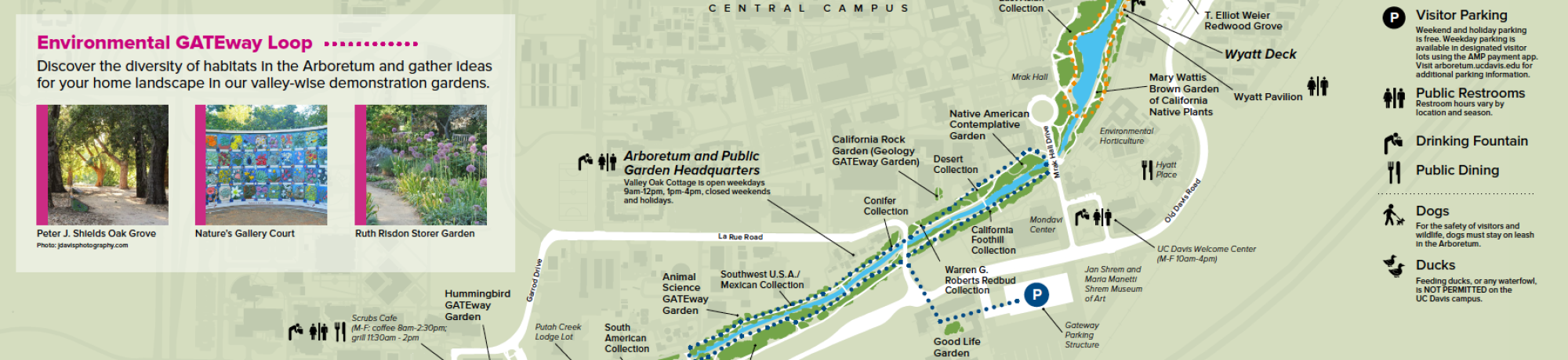 A portion of the UC Davis Arboretum and Public Garden visitor map.