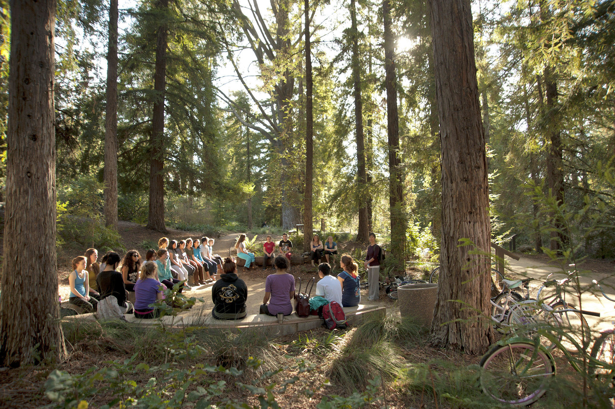 Image of class in the UC Davis Arboretum redwood grove.