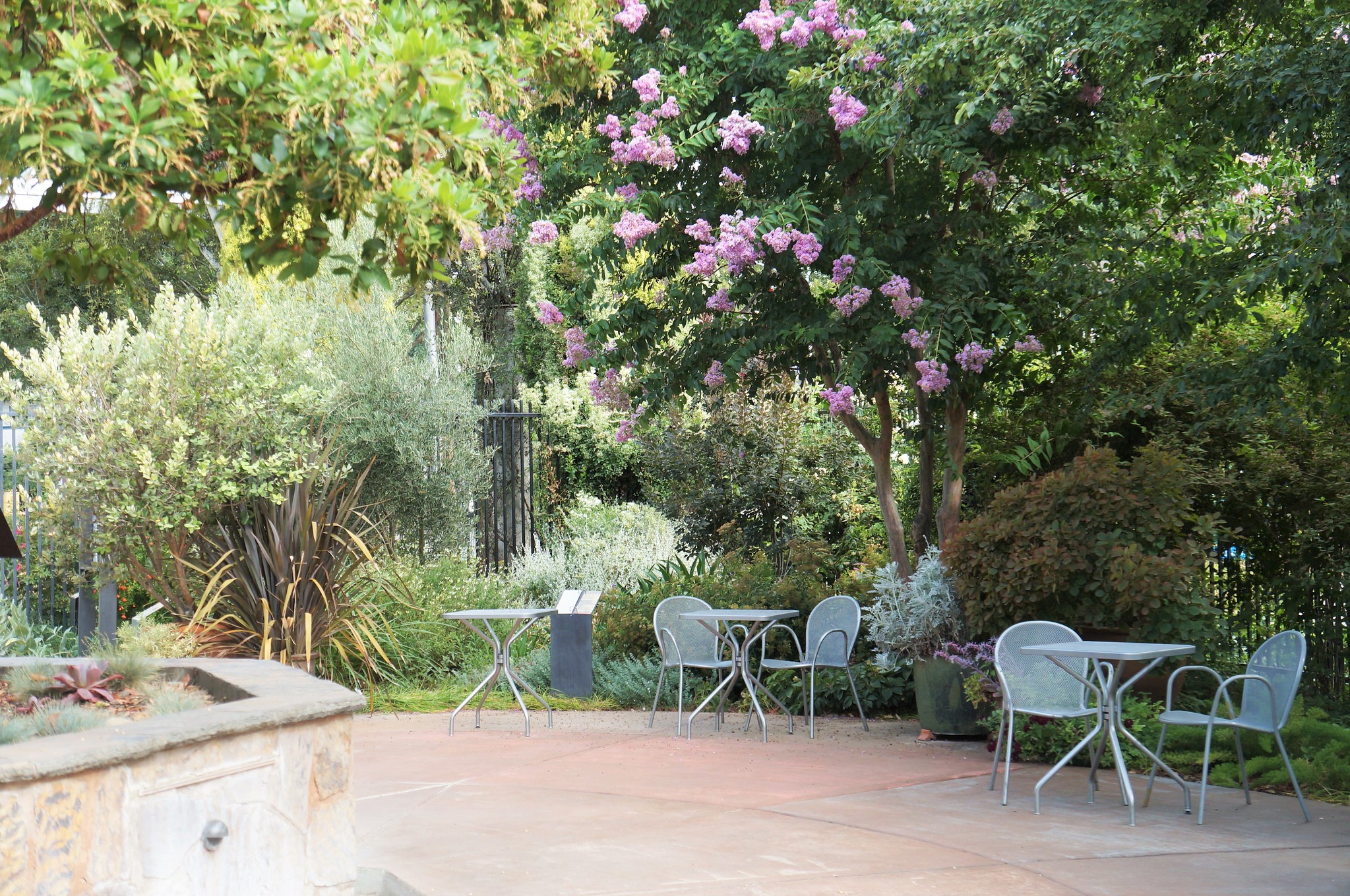  UC Davis Arboretum and Public Garden UC Davis Arboretum Terrace Garden and Lois Crowe Patio