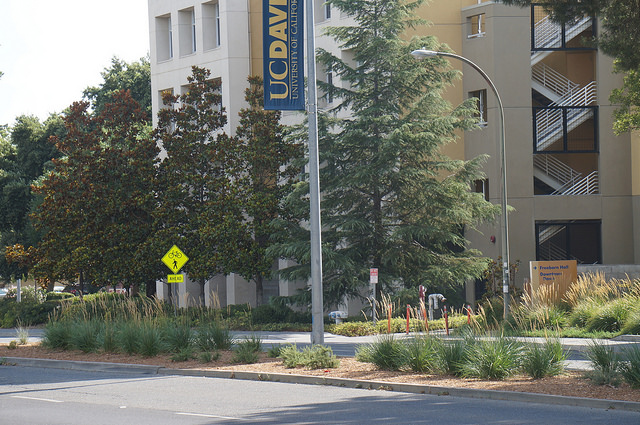 median by the dorms
