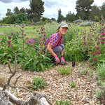 Image of habitat horticulture intern.