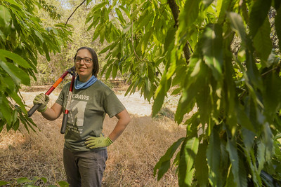 Image of UC Davis student and co-coordinator for the Arboretum and Public Garden's Urban Tree Stewardship program.