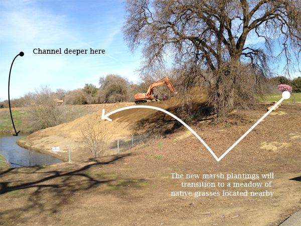 Deeper Channel with Oak Grove Meadow