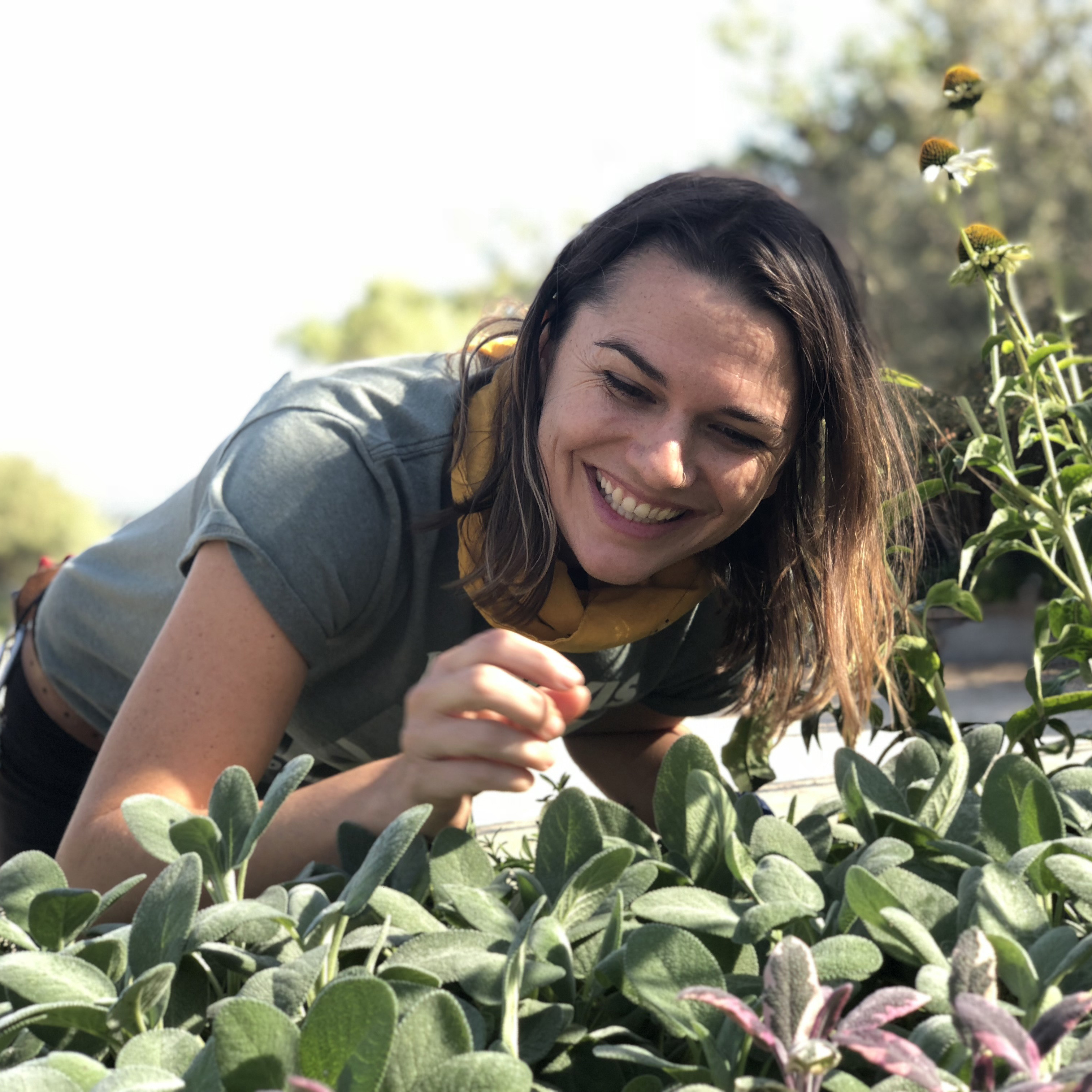Image of Abbey Hart, UC Davis Arboretum and Public Garden nursery special projects manager.