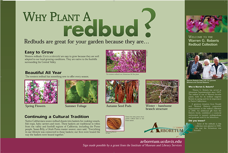 Redbud Collection