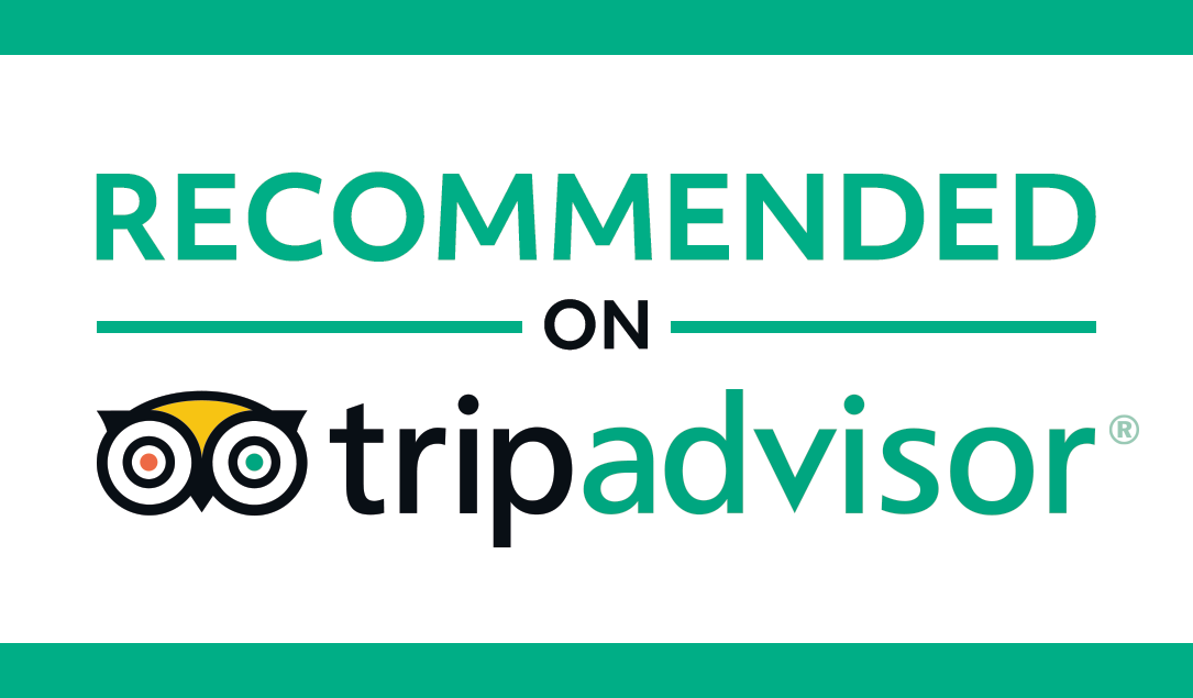 Image of TripAdvisor identity