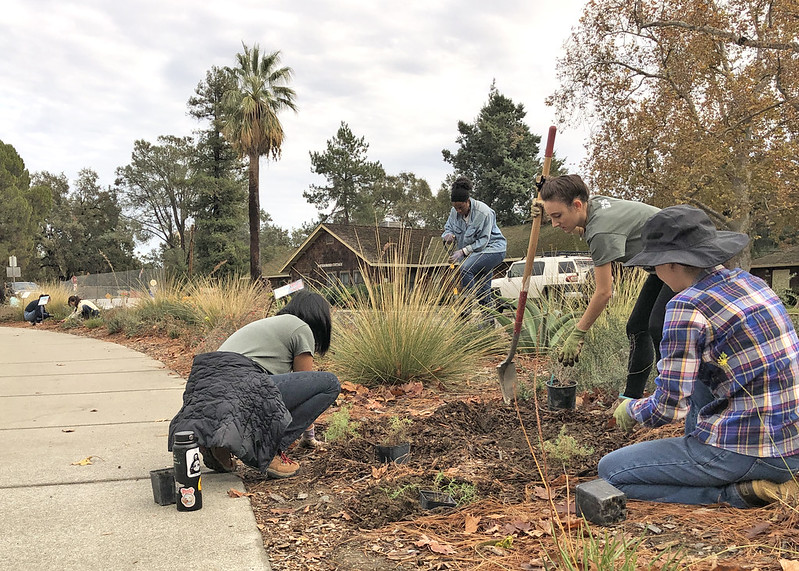 A group of interns work together to prepare the ground for new plants