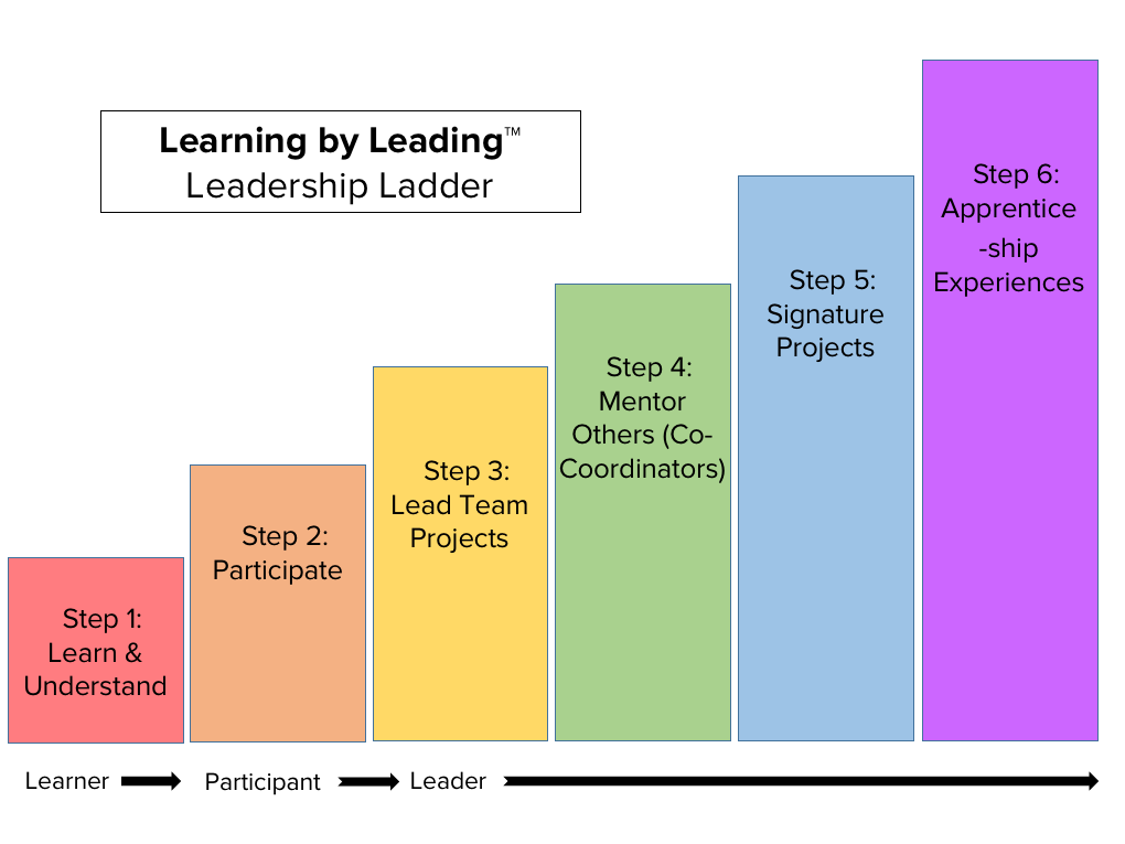Leadership Ladder image