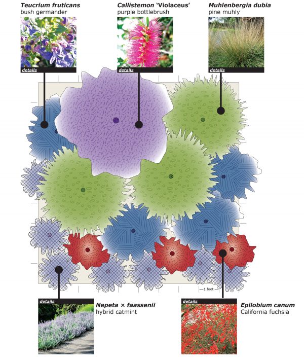 Low maintenance planting plan