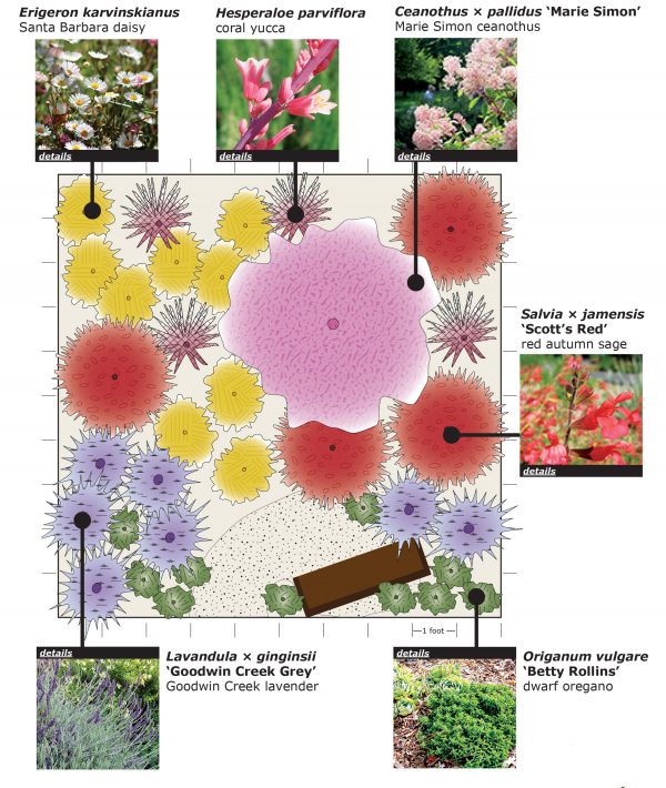 Wildlife planting plan