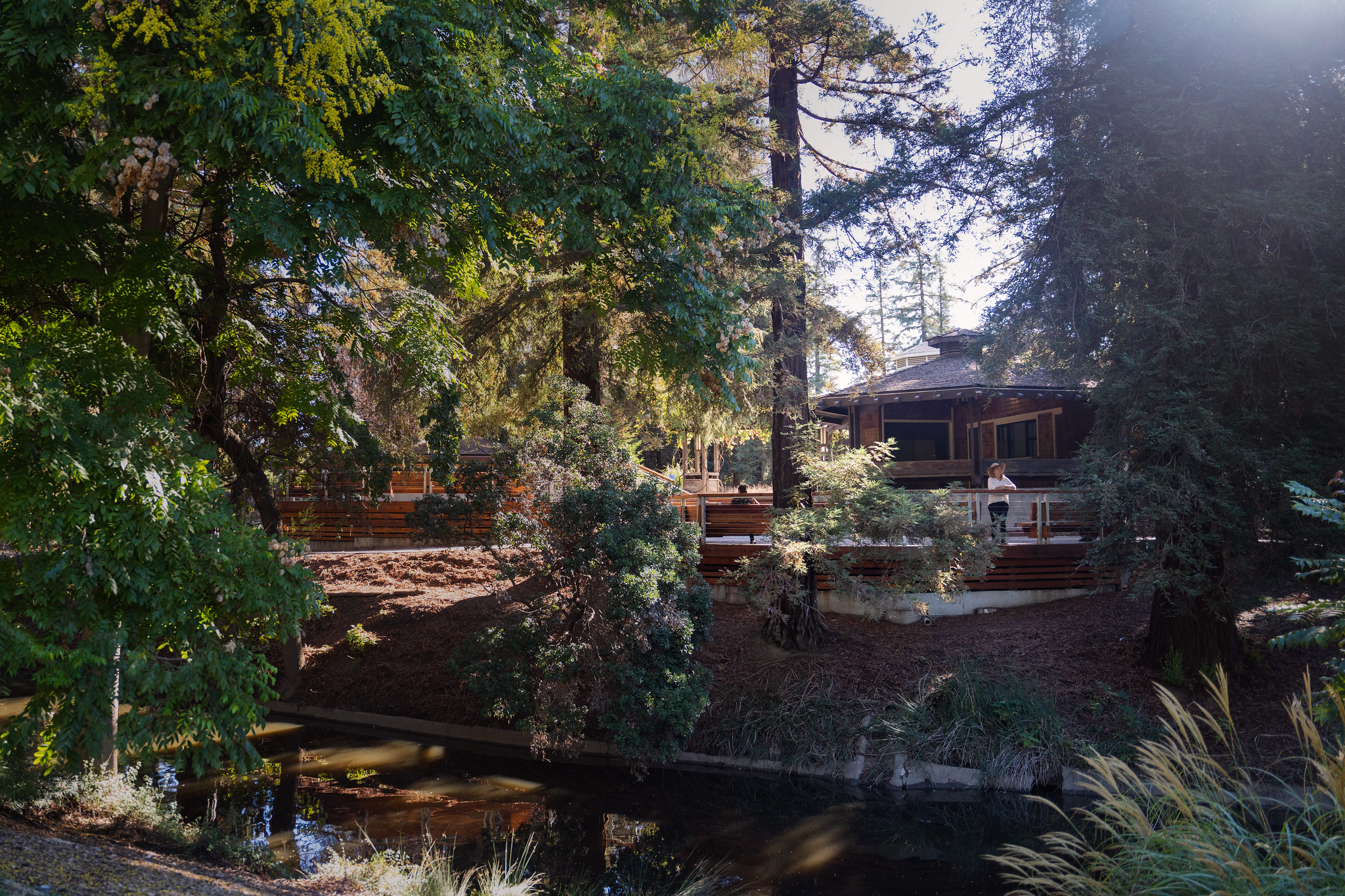 Visitor stands on Wyatt Deck, looking over the Arboretum Waterway