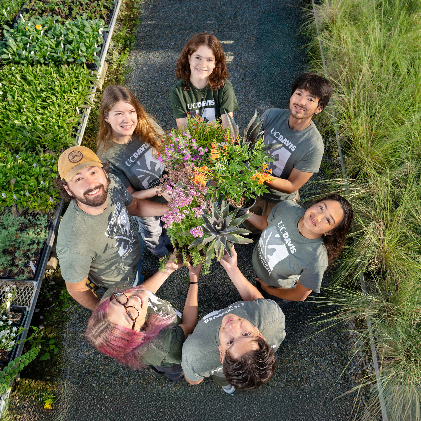A group of seven UC Davis Arboretum and Public Garden student interns in matching green UC Davis t-shirts smile up at the camera while holding a colorful selection of potted Arboretum All-Star plants together in the Teaching Nursery, surrounded by rows of vibrant greenery.