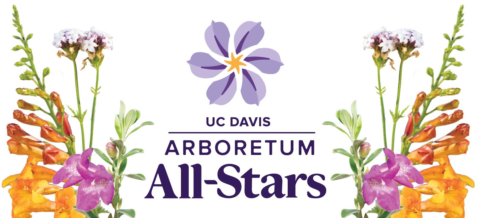 UC Davis Arboretum All-Stars logo surrounded by some of the All-Star plants.