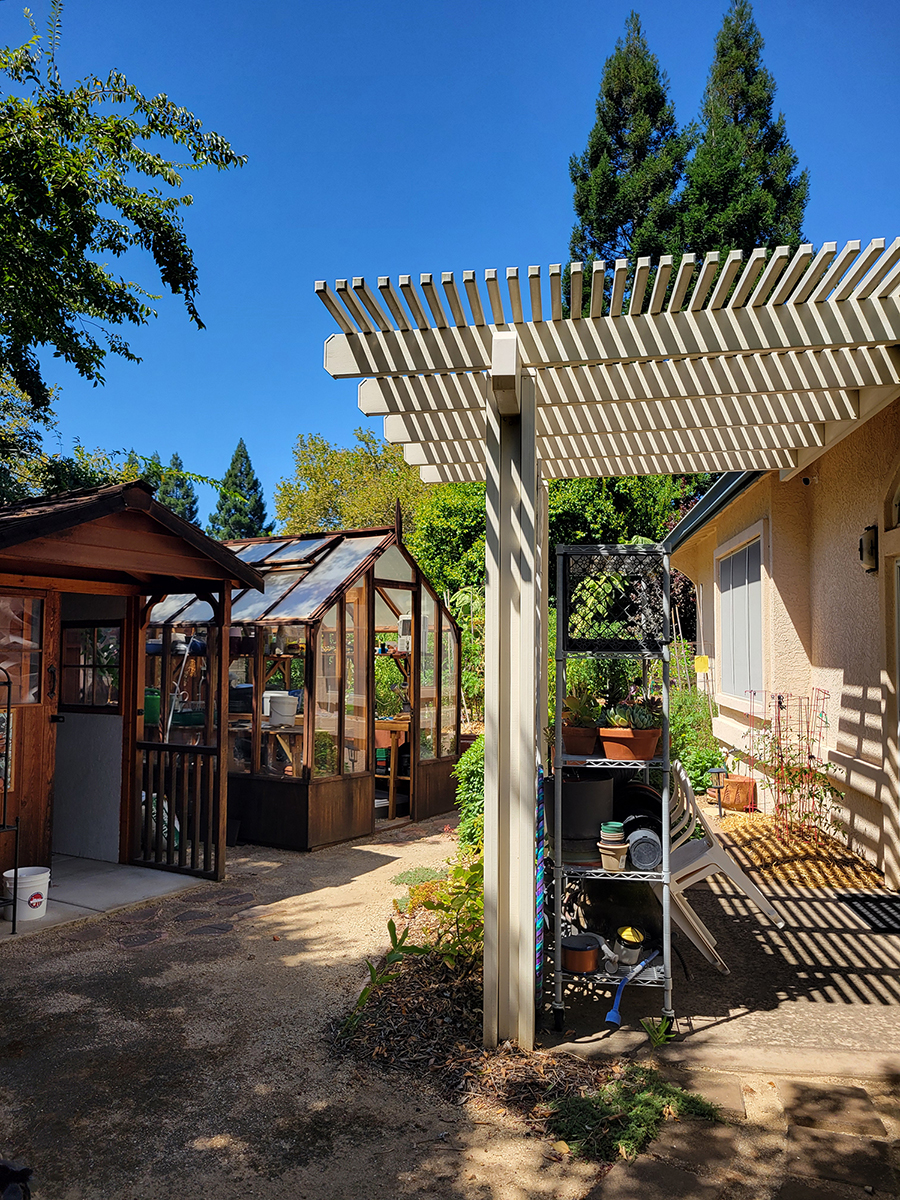Mary Kay Williams' backyard showing a partially shaded patio area with shelving to store gardening supplies, and a small wooden shed next to a small wood and glass greenhouse in the background.