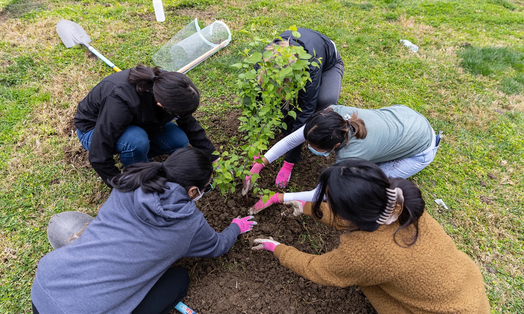 Planting a tree on campus