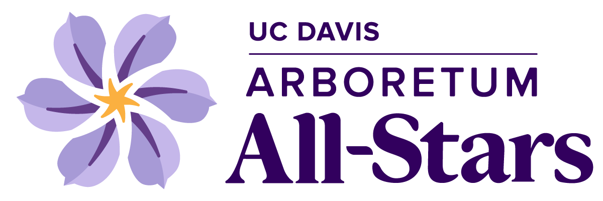 UCD All Stars wordmark.