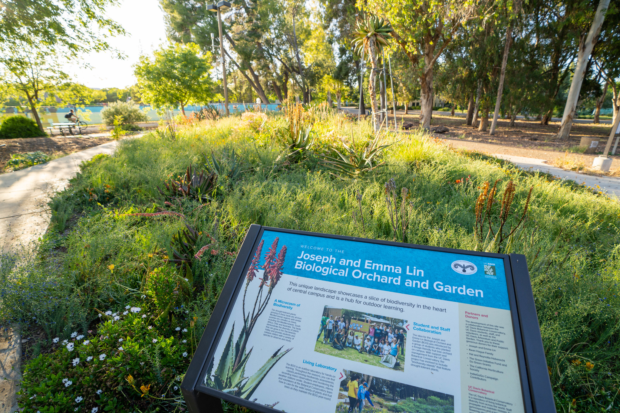 Interpretive sign among plants