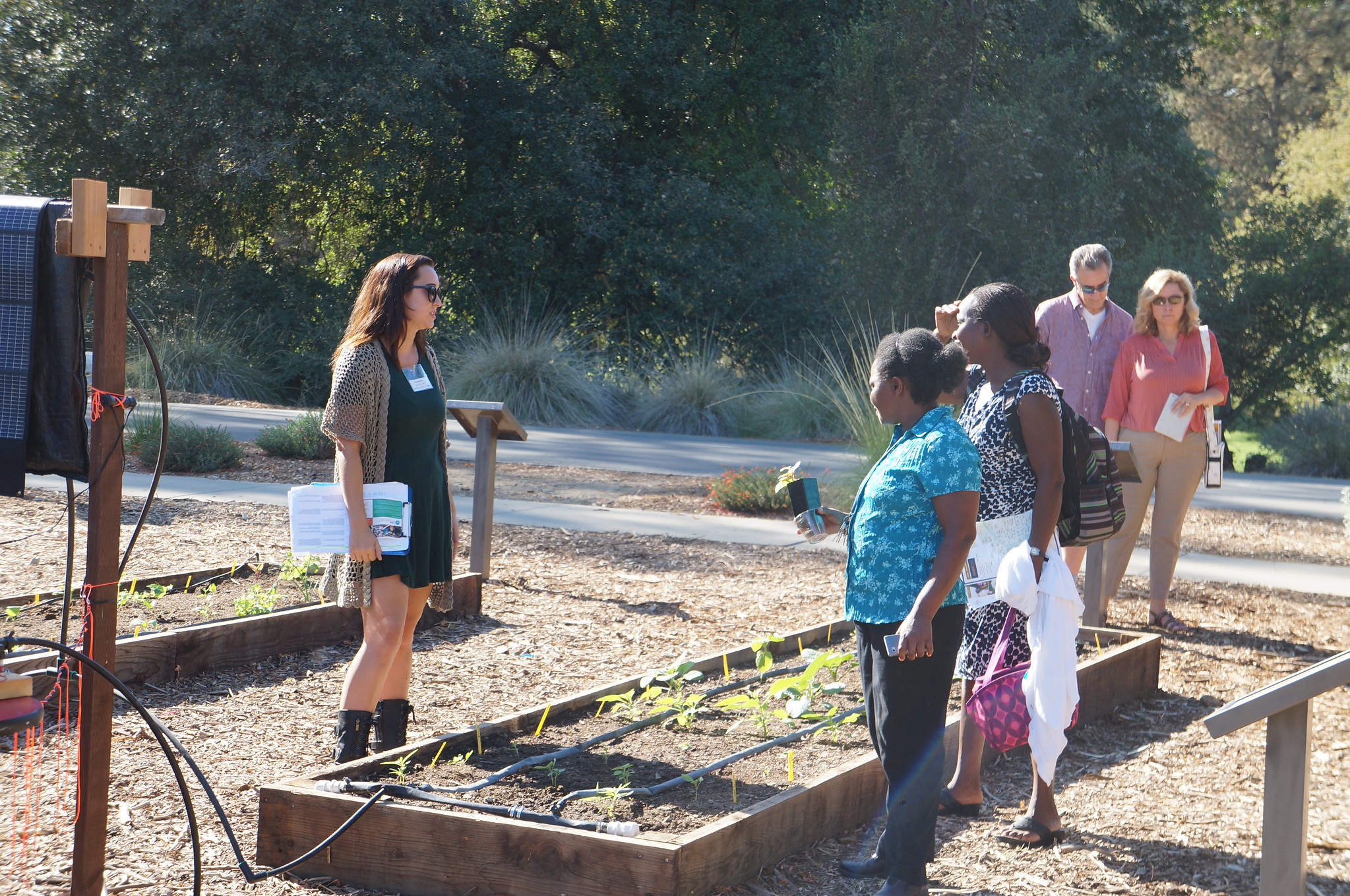 visitors standing along a planter box