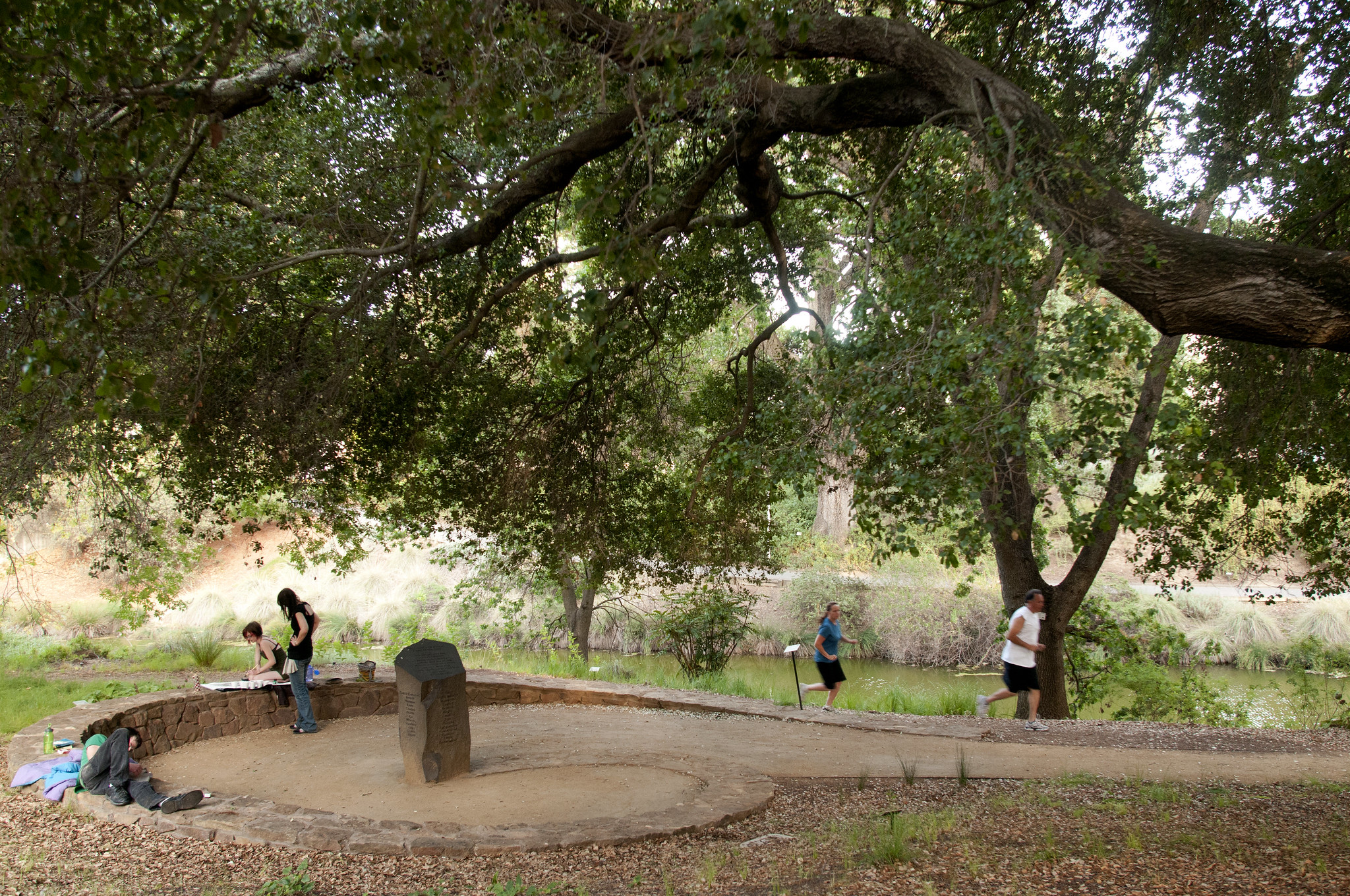 Visitors relaxing in the garden