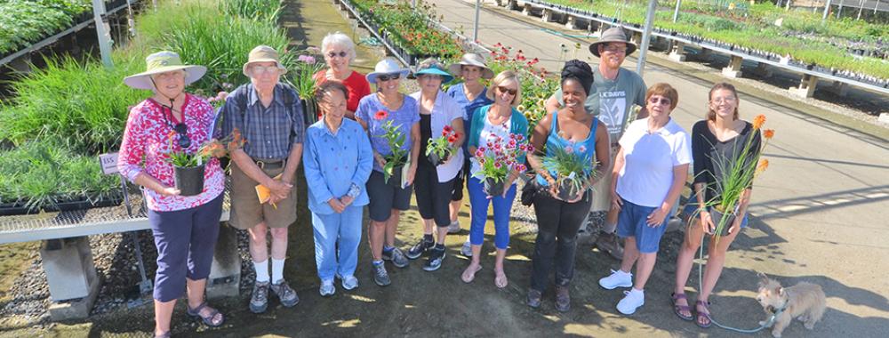Image of volunteers, members, staff and students in the UC Davis Arboretum Teaching Nursery.