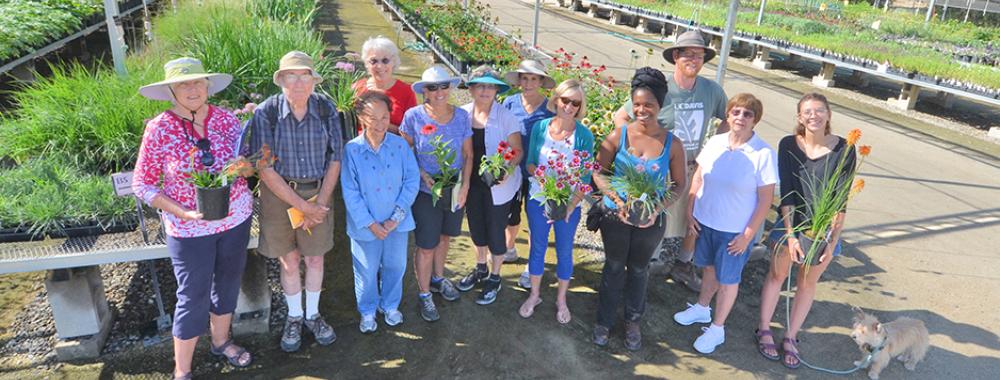 Image of volunteers, members, staff and students in the UC Davis Arboretum Teaching Nursery.