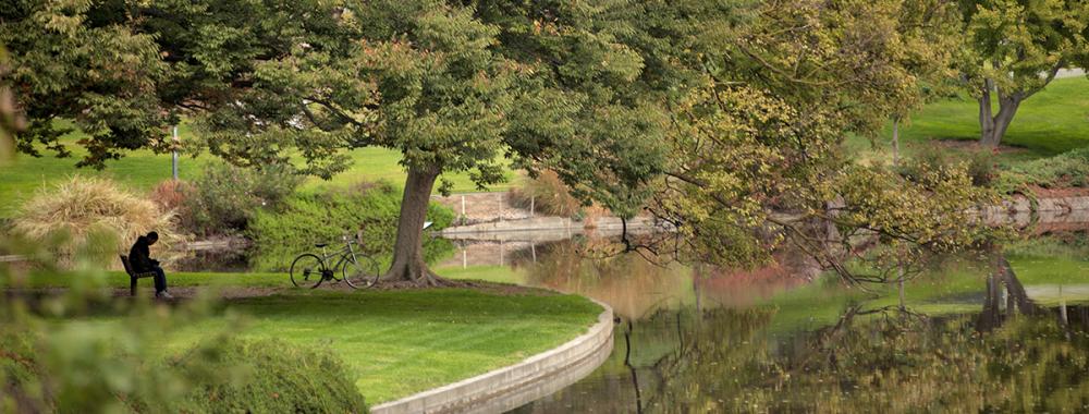 Image of UC Davis Arboretum East Asian Collection.