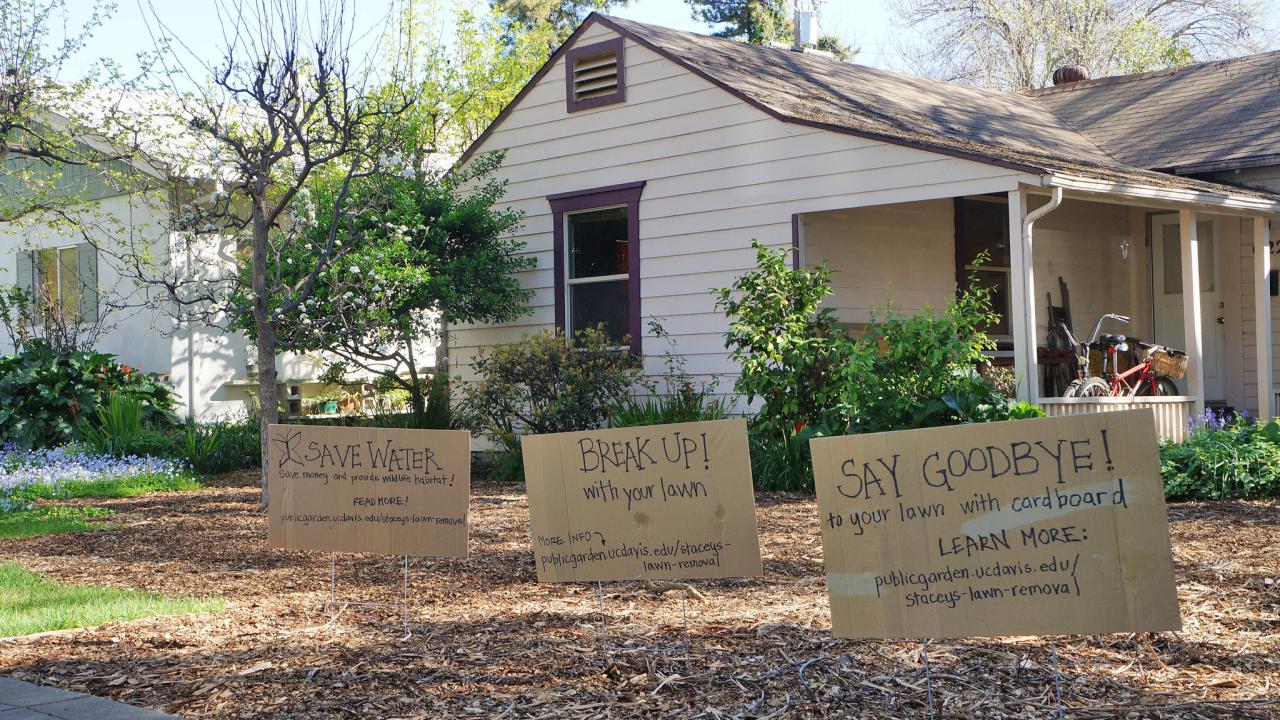 Image of Stacey Parker's lawn during the sheet mulching / lawn removal process.