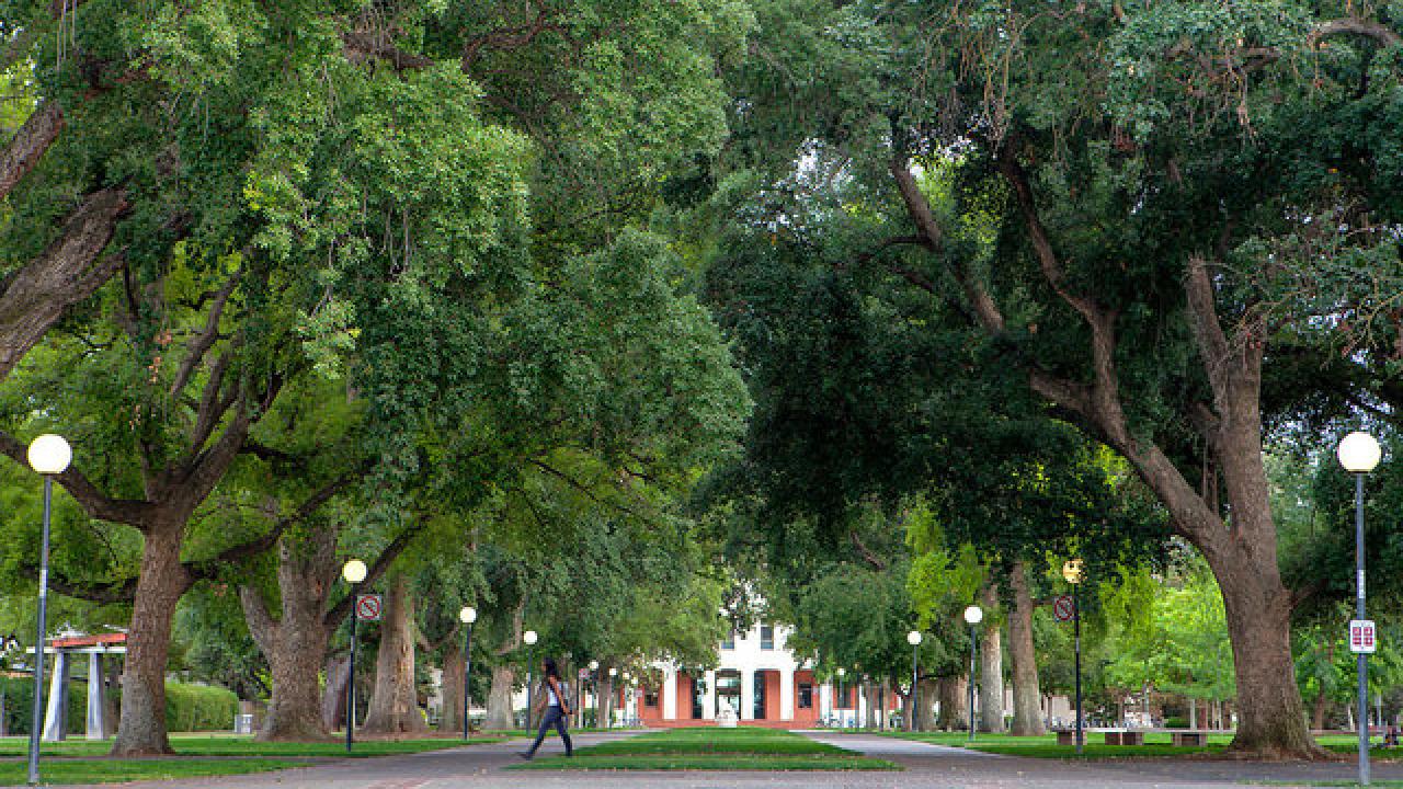 UC Davis Mrak Mall