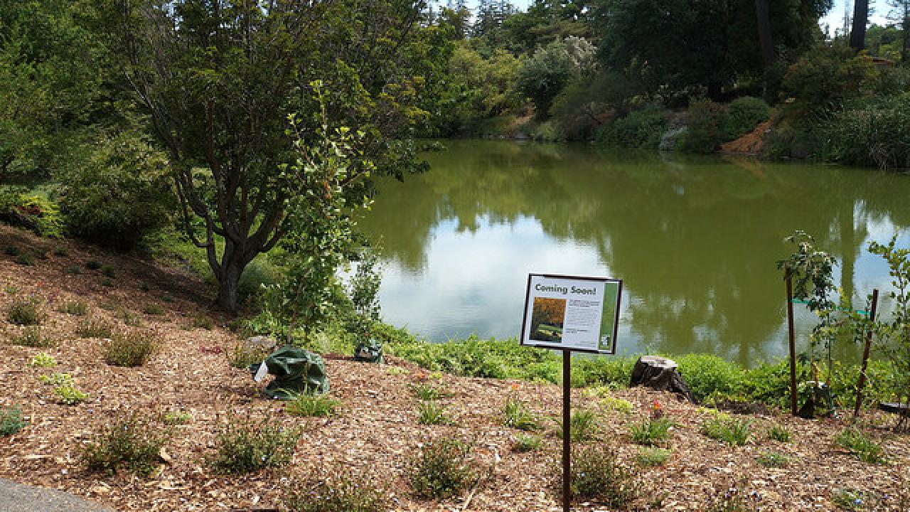 Sea of Cortez memorial