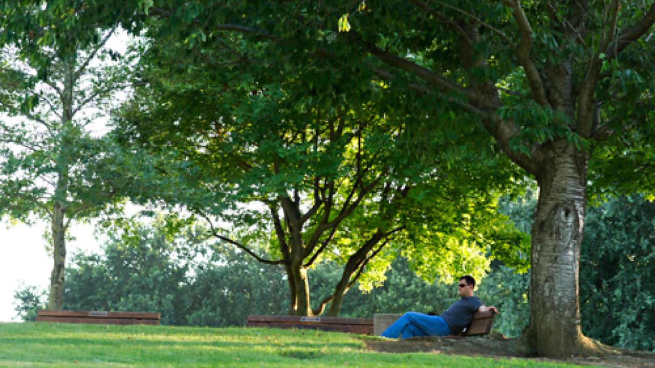 arboretum garden