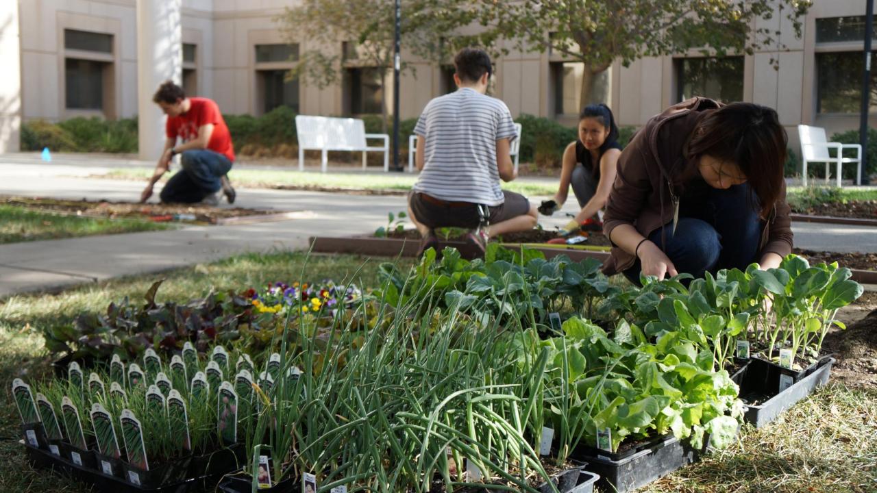 Learning by Leading interns working to maintain the Good Life Garden.