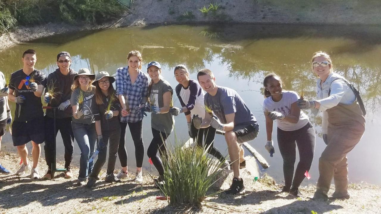 Students on the Learning by Leading Waterway Stewardship team plant sedges and rushes along the newly created banks of the Arboretum Waterway.