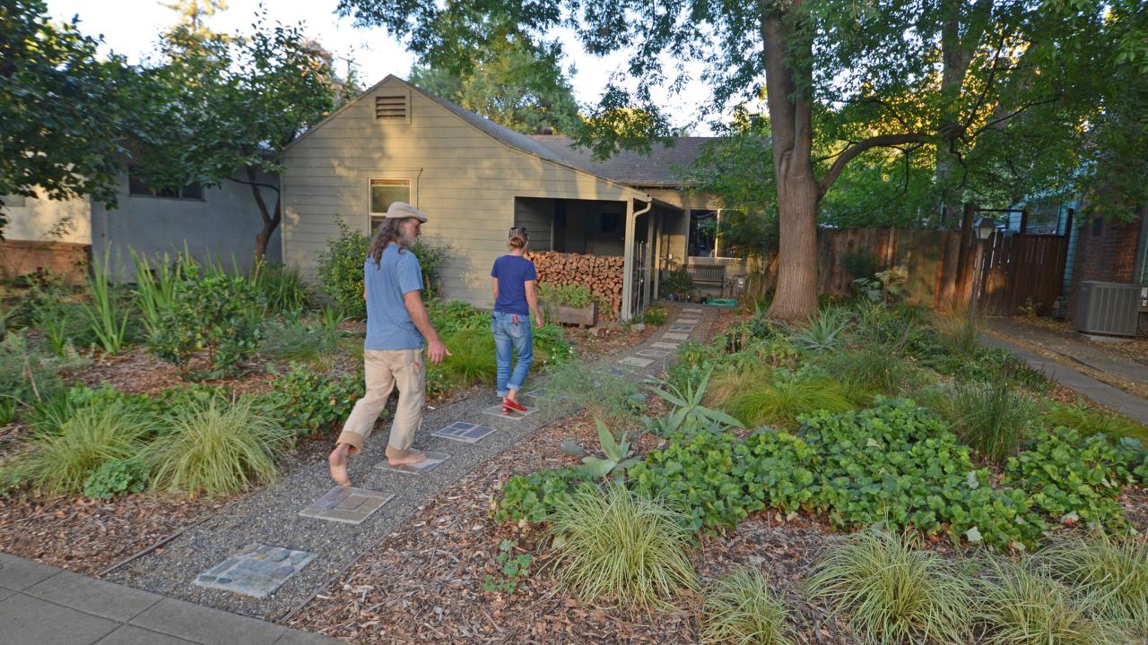 Image of Stacey Parker's front yard.