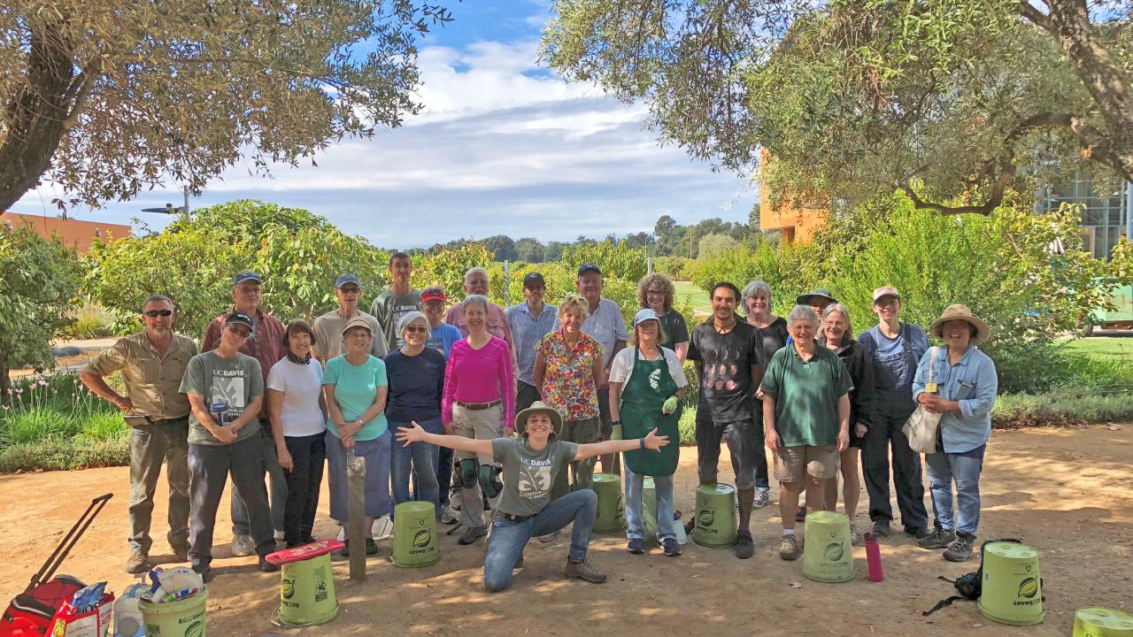 Image of volunteers and staff of the UC Davis Arboretum and Public Garden in the Good Life Garden.