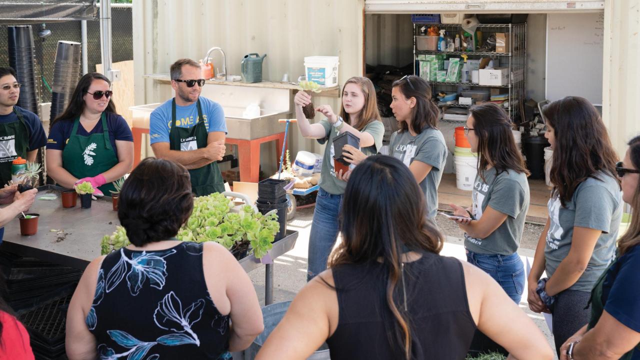 Learning by LeadingTM education students lead a Nature Rx lunchtime workshop for campus staff in the Arboretum Teaching Nursery.