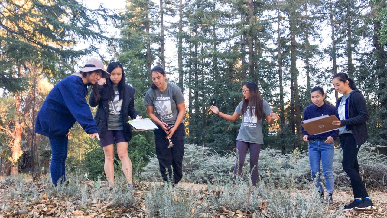 Image of Plant Records and Mapping co-coordinator Elise Chu teaching new Learning by Leading interns the skills needed to accurately map plants.