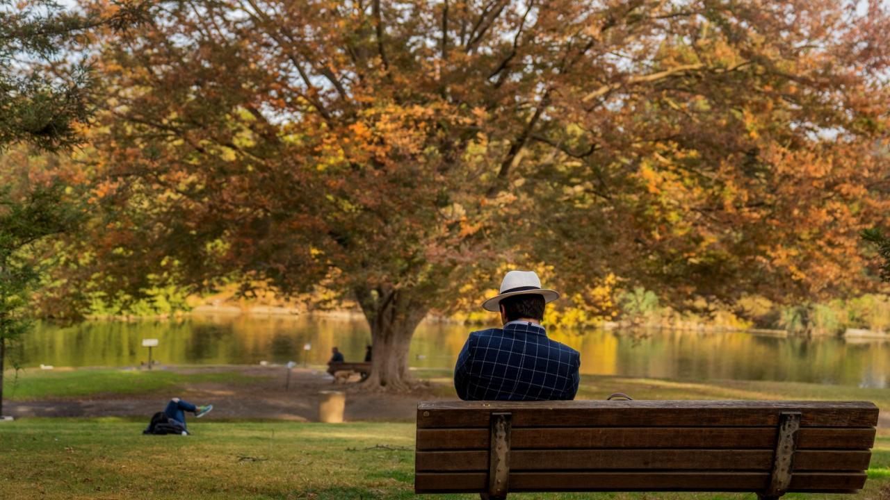 Get outside for a little "Nature Rx!" Being in nature for as little as 10 minutes per day has been shown to relieve stress and reduce mental fatigue. Person on a bench in the Arboretum.