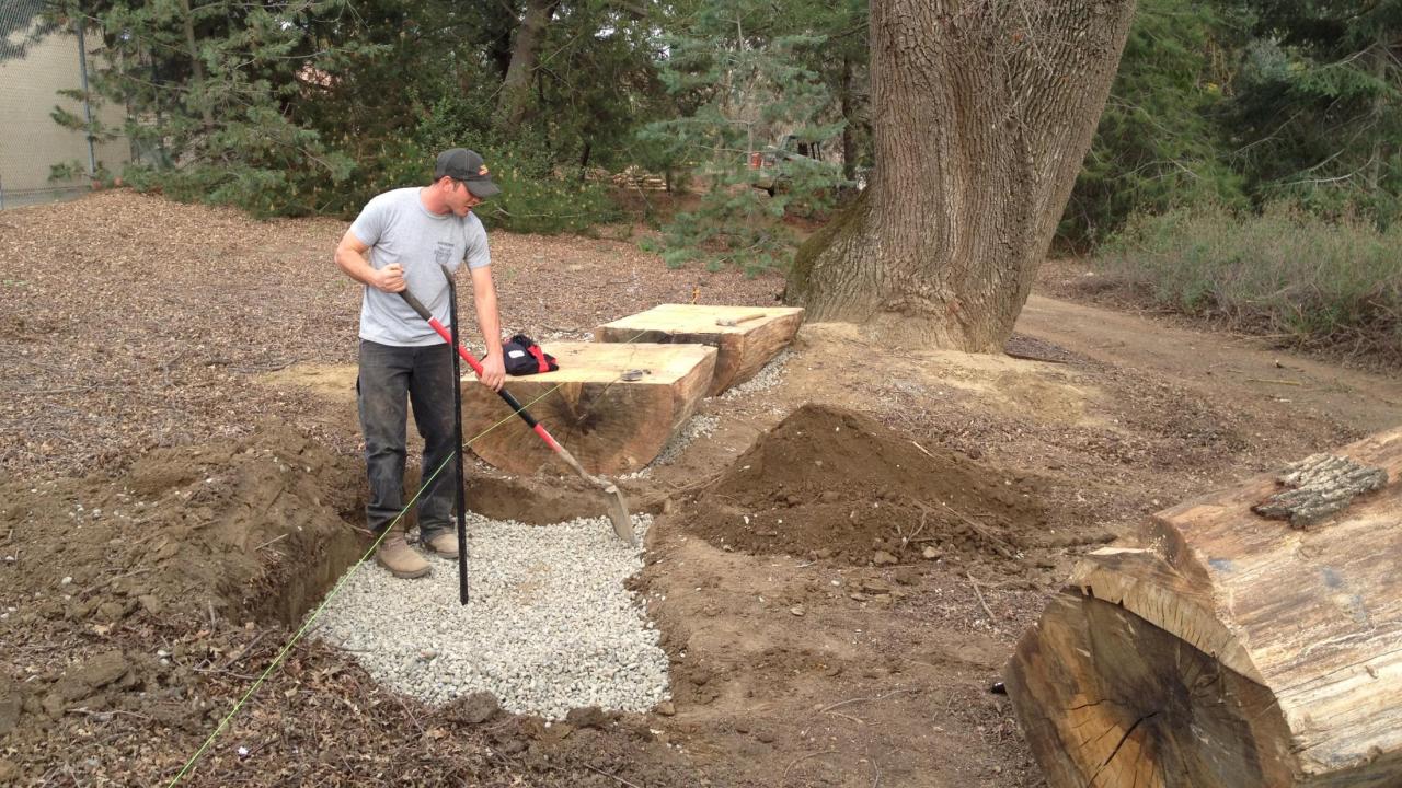 John Gainey, Learning by Leading intern, created a design for the UC Davis Animal Science GATEway Garden and now works to construct his vision. Image of John Gainey constructing his design for the UC Davis Animal Science GATEway Garden.
