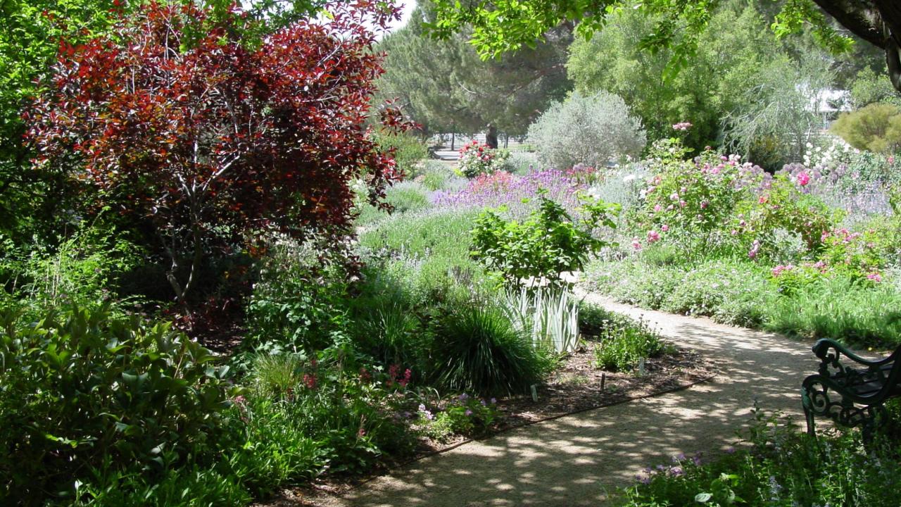 Storer Garden is one of the gardens made possible by an endowment. Storer Garden