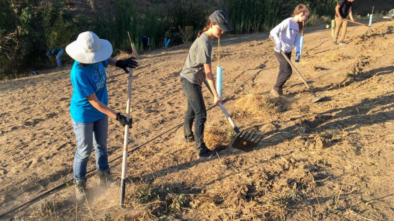 Habitat Restoration interns preparing land for restoration project. Students on the UC Davis Arboretum and Public Garden's Learning by Leading Habitat Restoration team work to restore a previously barren patch of land filled with plants that surround their man-made water way.