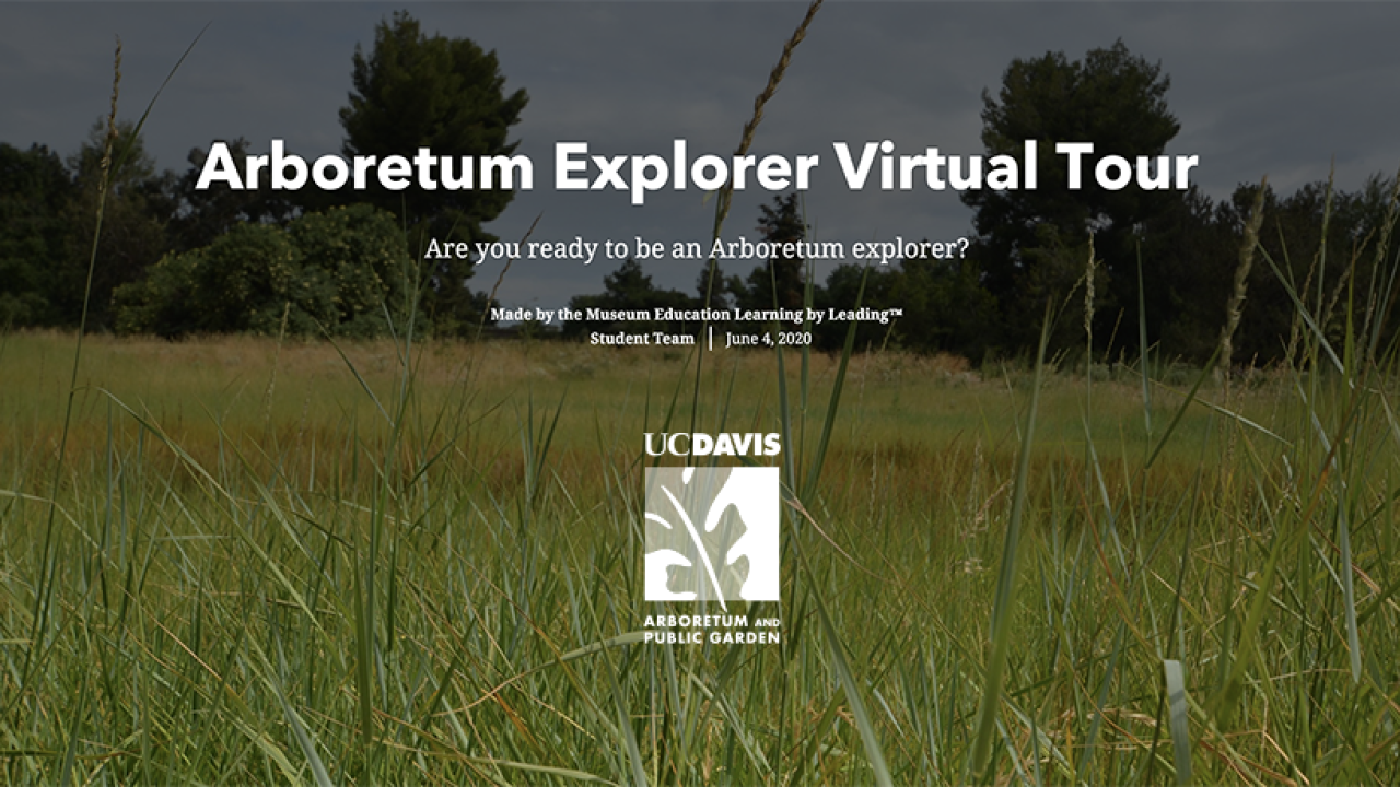 Image of the opening graphic of the Arboretum Virtual Tour created by Learning by Leading Museum Education students.