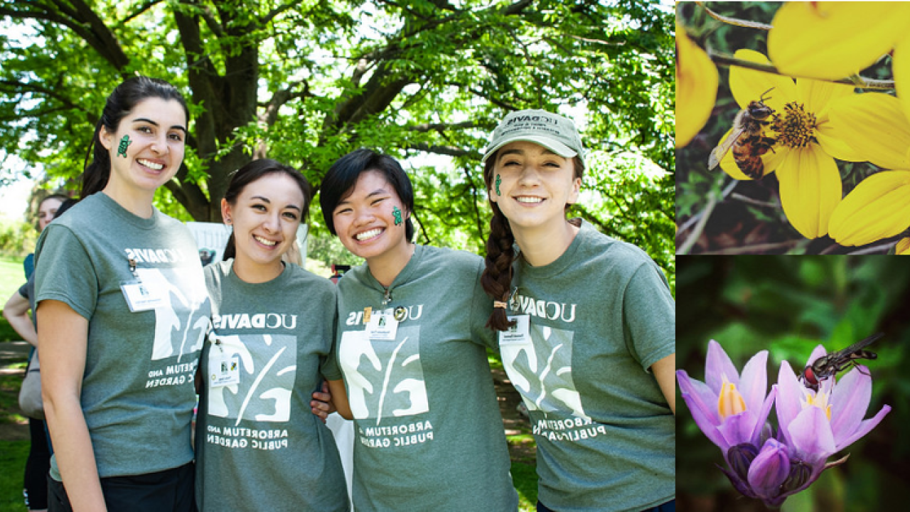 Image of curatorial interns and plants.