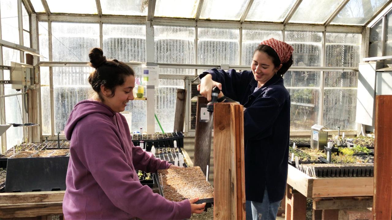 Two students water their seeds in the greenhouse.