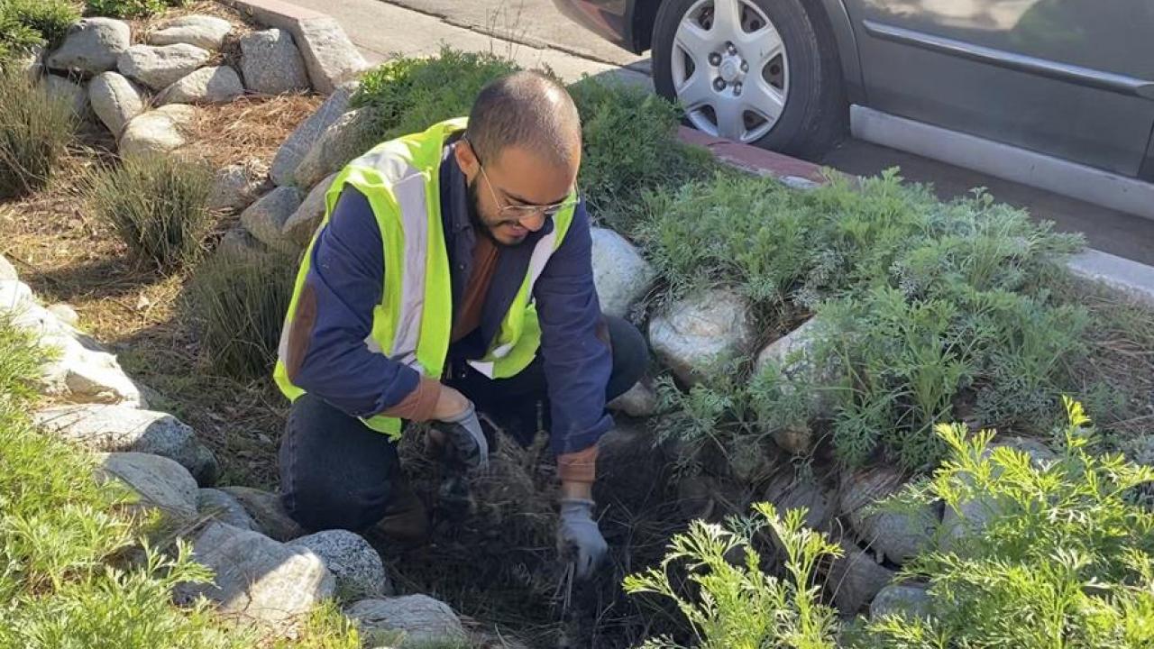 Image of Levy Hernandez working to improve the environment in LA.