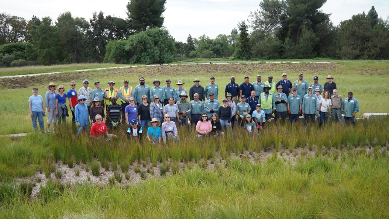 Arboretum and Public Garden staff and volunteers