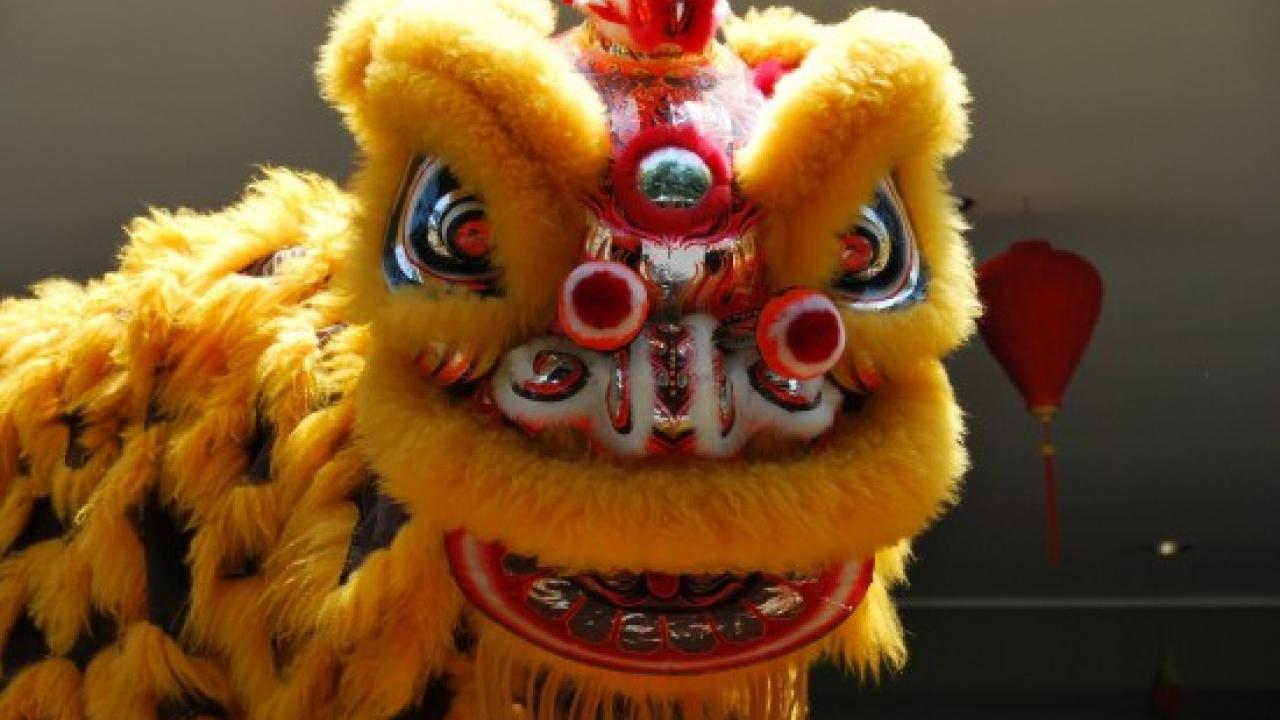 Chinese lion dance