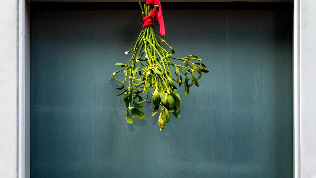 A bough of mistletoe hangs by a ribbon over a doorway.