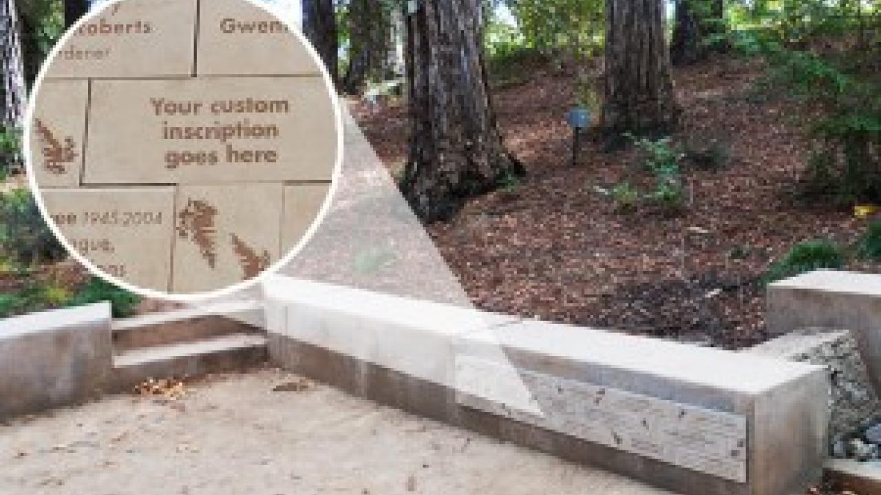 Unique, custom-engraved tiles are available for dedication in the iconic T. Elliot Weier Redwood Grove. Tiles in Redwood Grove